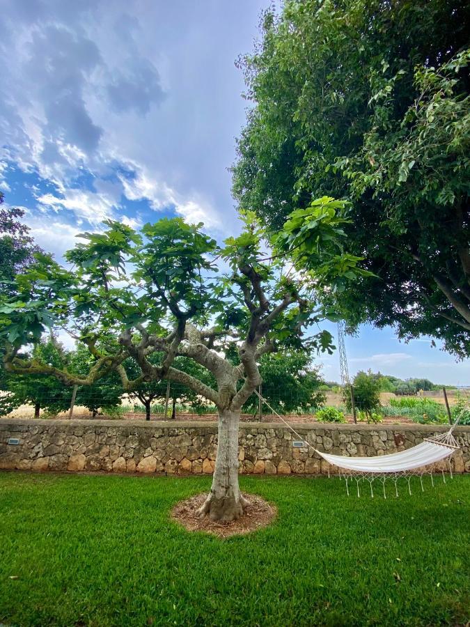 Finca Amer Sa Pobla Eksteriør billede